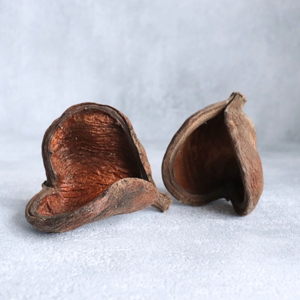 Sušený Badam – natur, přírodní dekorativní plod pro aranžmá a dekorace